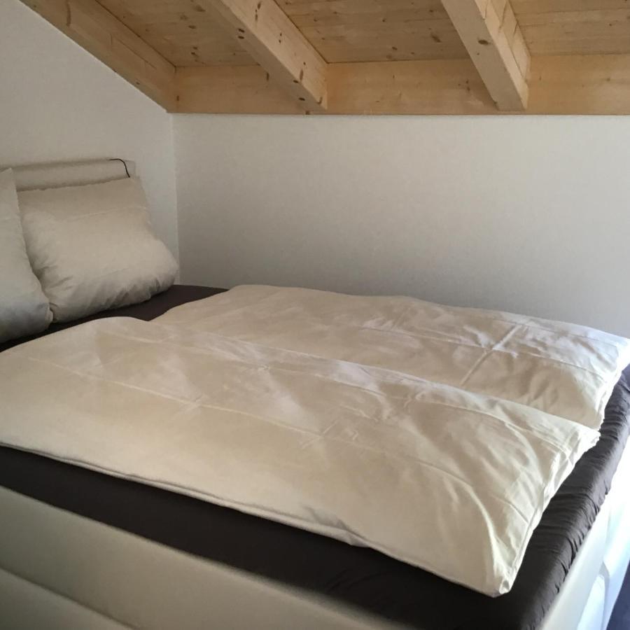 Vista-Apartments Ebersbach  Экстерьер фото