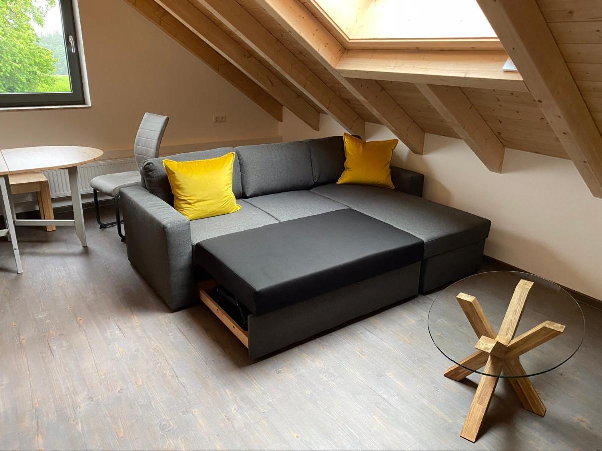 Vista-Apartments Ebersbach  Экстерьер фото